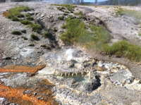 Five Crater Spring in eruption