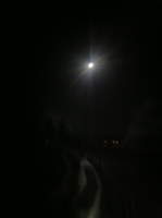 Sawmill eruption by moonlight