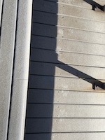 Paw prints on Grand boardwalk